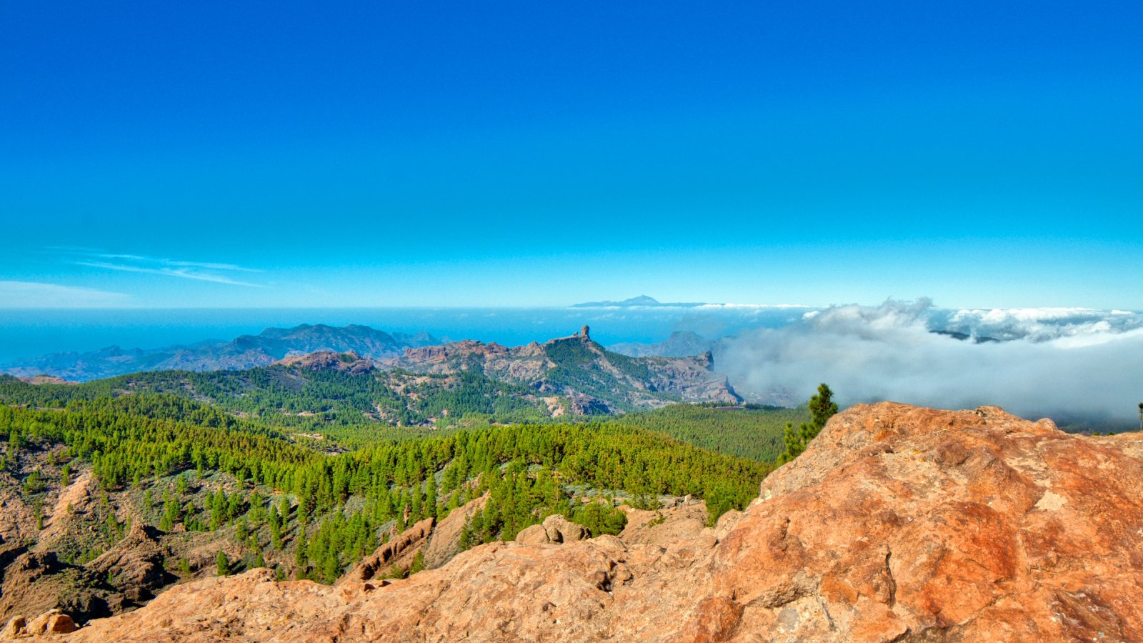 Naturmonumente auf Gran Canaria gesehen vom Mirador Pico de Las Nieves 1950müM